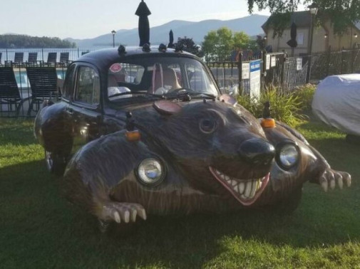 krtko (medveď?)